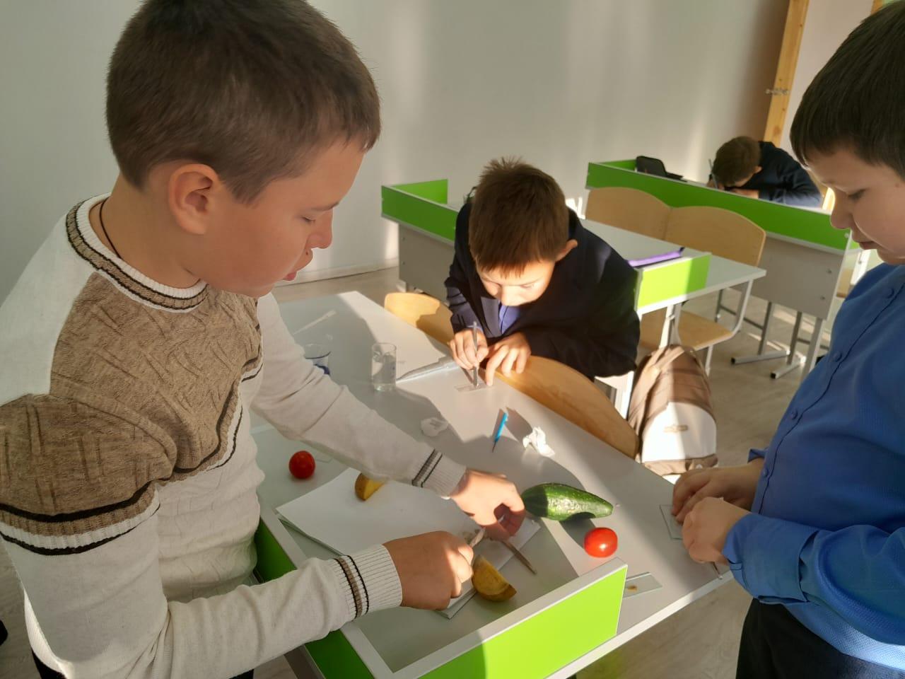 Работали с микроскопом.