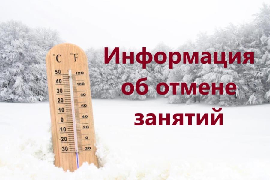В связи с низкими температурами сегодня, 8 декабря, занятия в школе для 1-4 классов отменяются,переводятся на дистанционное обучение..