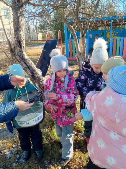Провели Синичкин день.